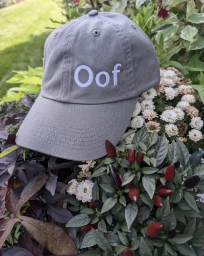 I find myself saying this a lot. Unsure if it’s because my child plays a lot of Roblox or maybe I just make funny noises. #oof #roblox I find myself saying this a lot. Unsure if it’s because my child plays a lot of Roblox or maybe I just make funny noises. #oof #roblox