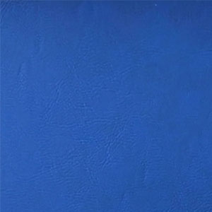Blue / Silver