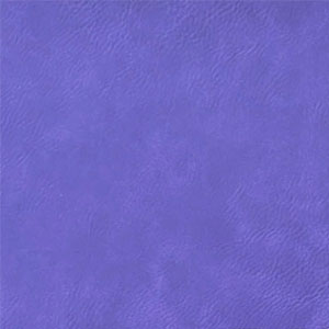 Purple / Black