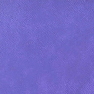 Purple / Gold