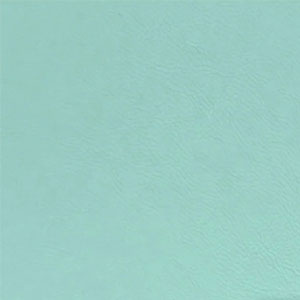 Teal / Black