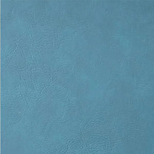 Turquoise / Black